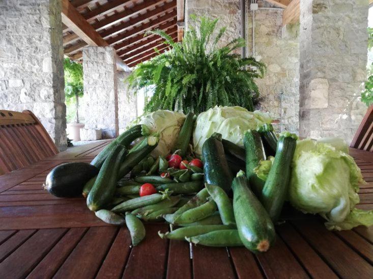 Ronc Dai Luchis Villa Faedis Buitenkant foto