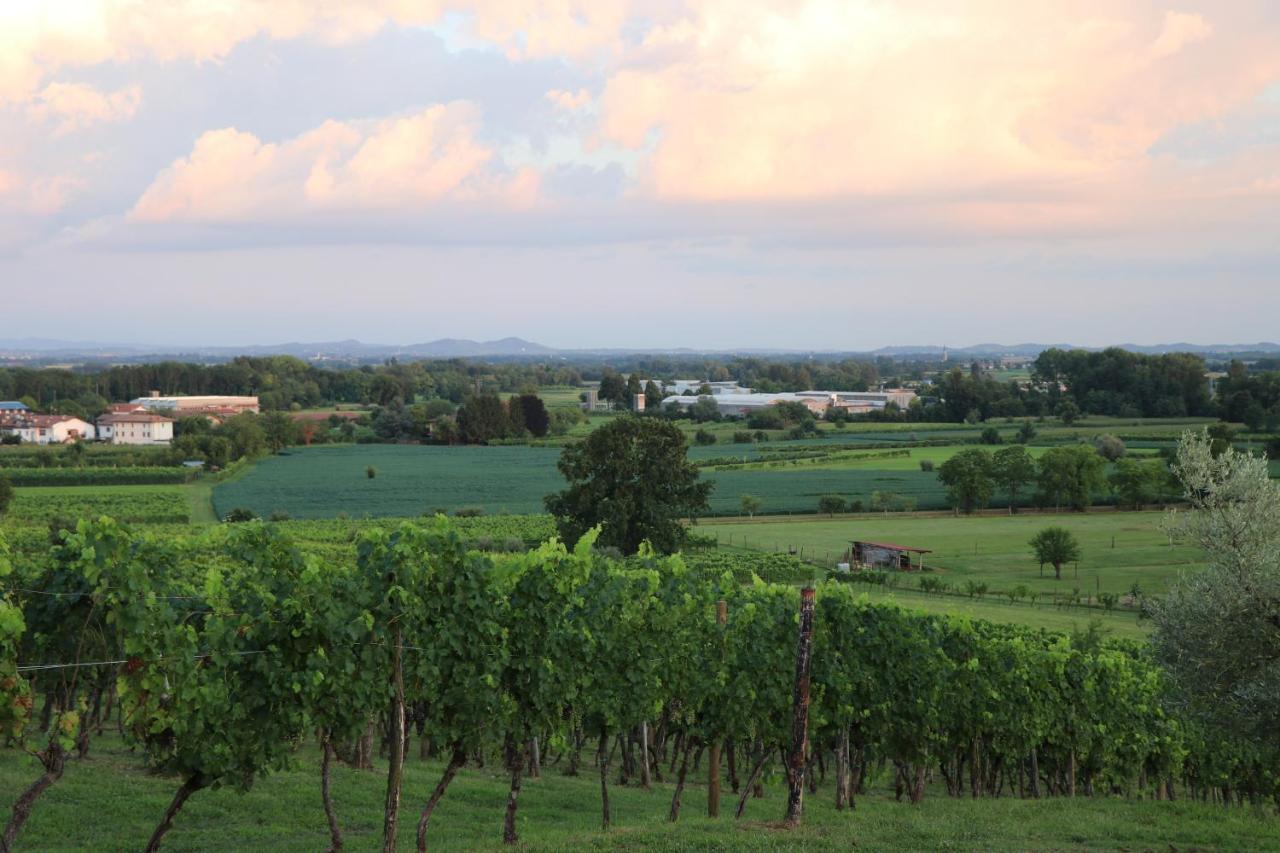 Ronc Dai Luchis Villa Faedis Buitenkant foto
